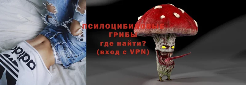 цена   мега как войти  Галлюциногенные грибы Magic Shrooms  Борисоглебск 